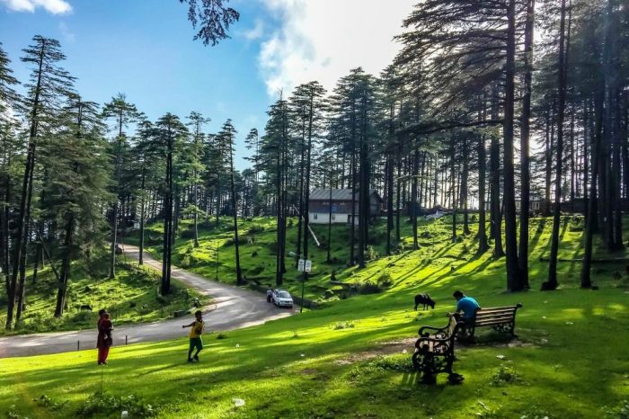 Trekking in Kashmir